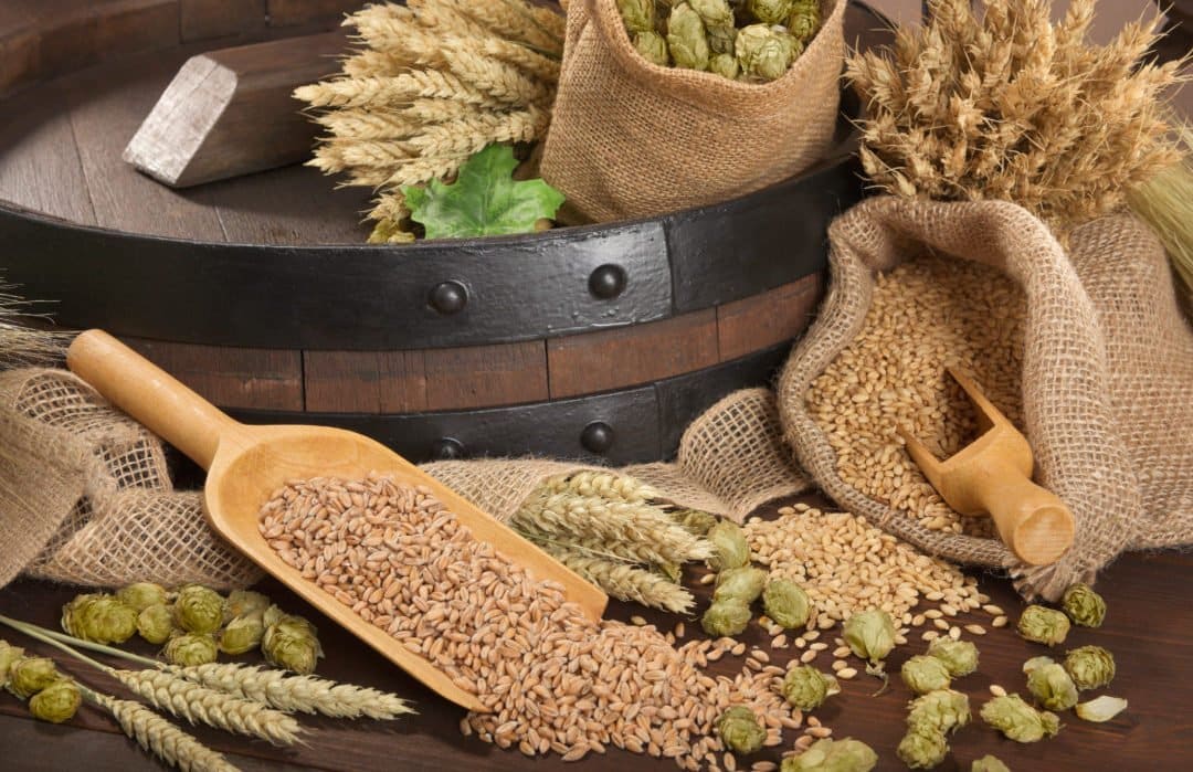 beer barrel with hops, wheat, grain, barley and malt