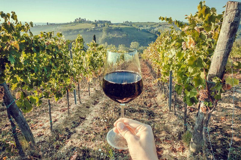drink local - image of a glass of wine in the vineyard it was made from