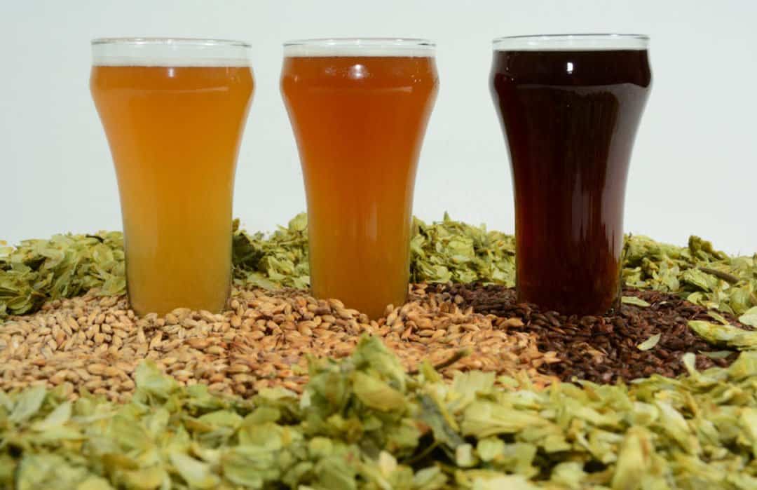 Craft Beer with the different ingredients (hops, malt, grain) and the color of beer
