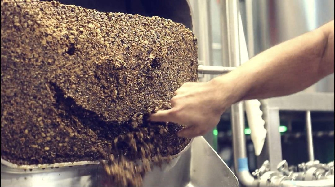 Spent Grain Smile Spent grain smile