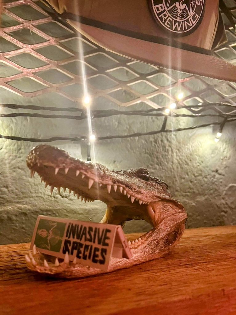 Things to do near Orlando - visit Invasive Species Brewing