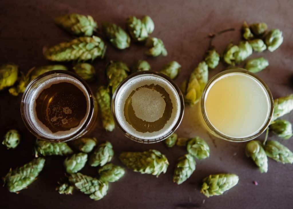 Three beer styles surrounded by hops. Image by Missy Fant.