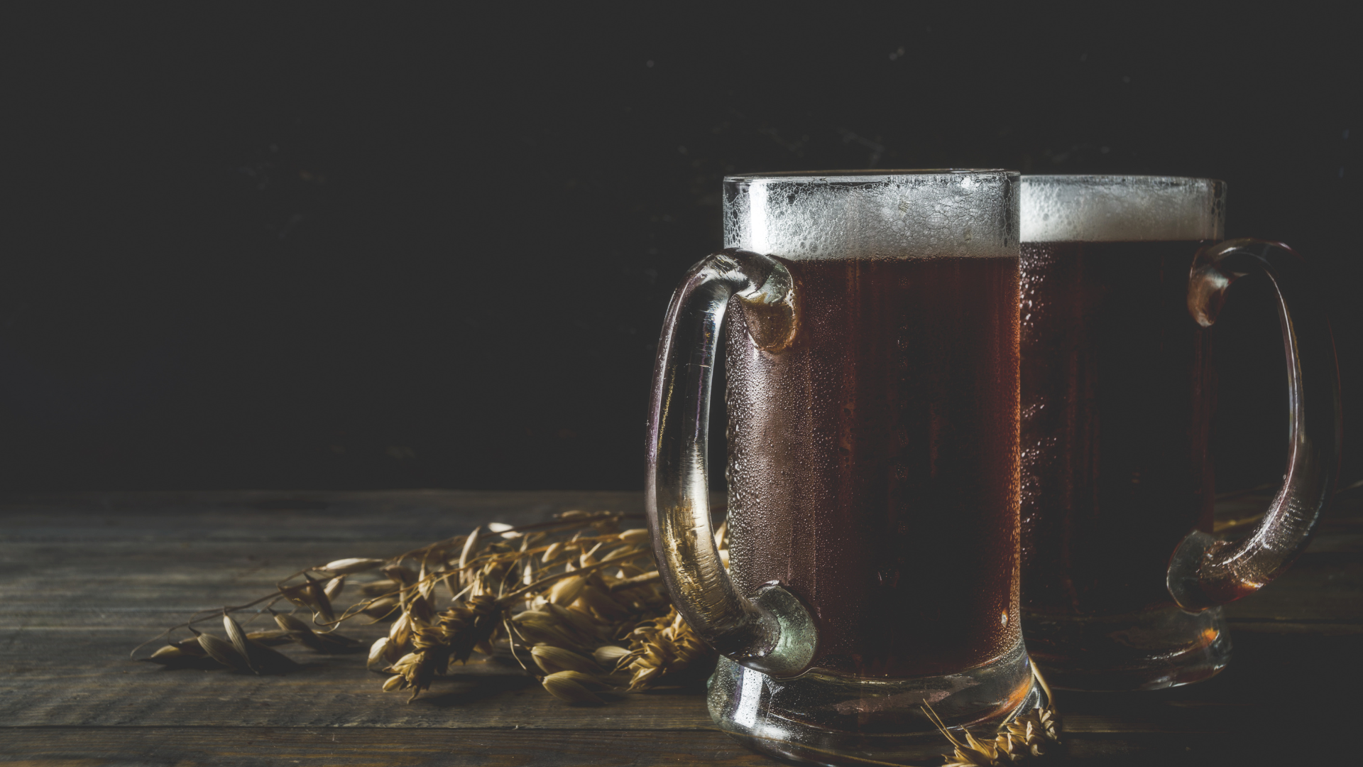 dark lager beer dark lager beer