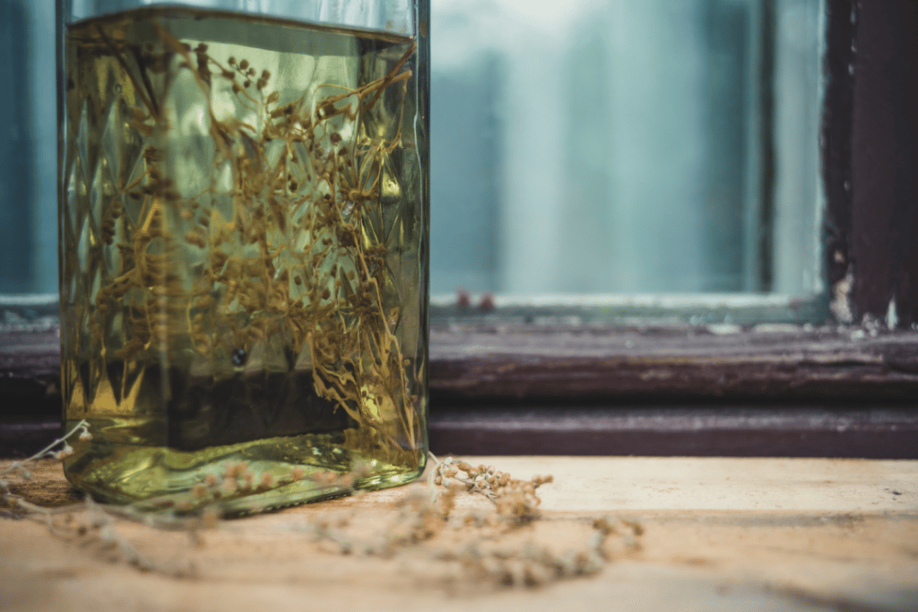 Wormwood Steeping To Make Vermouth